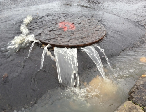 5 Common Causes of Overflowing & Blocked Drains