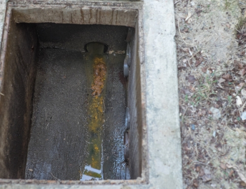 Common issues treated by drain jetting