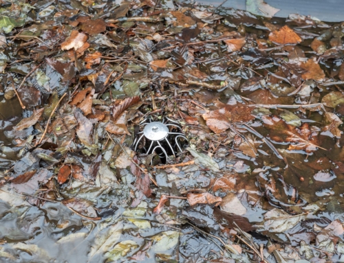 Are blocked drains affecting your home?