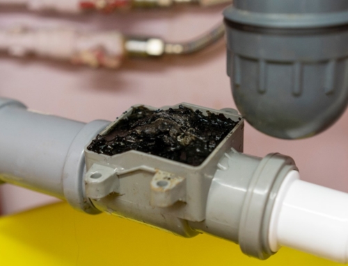 Are Coffee Grounds Clogging Your Drains?